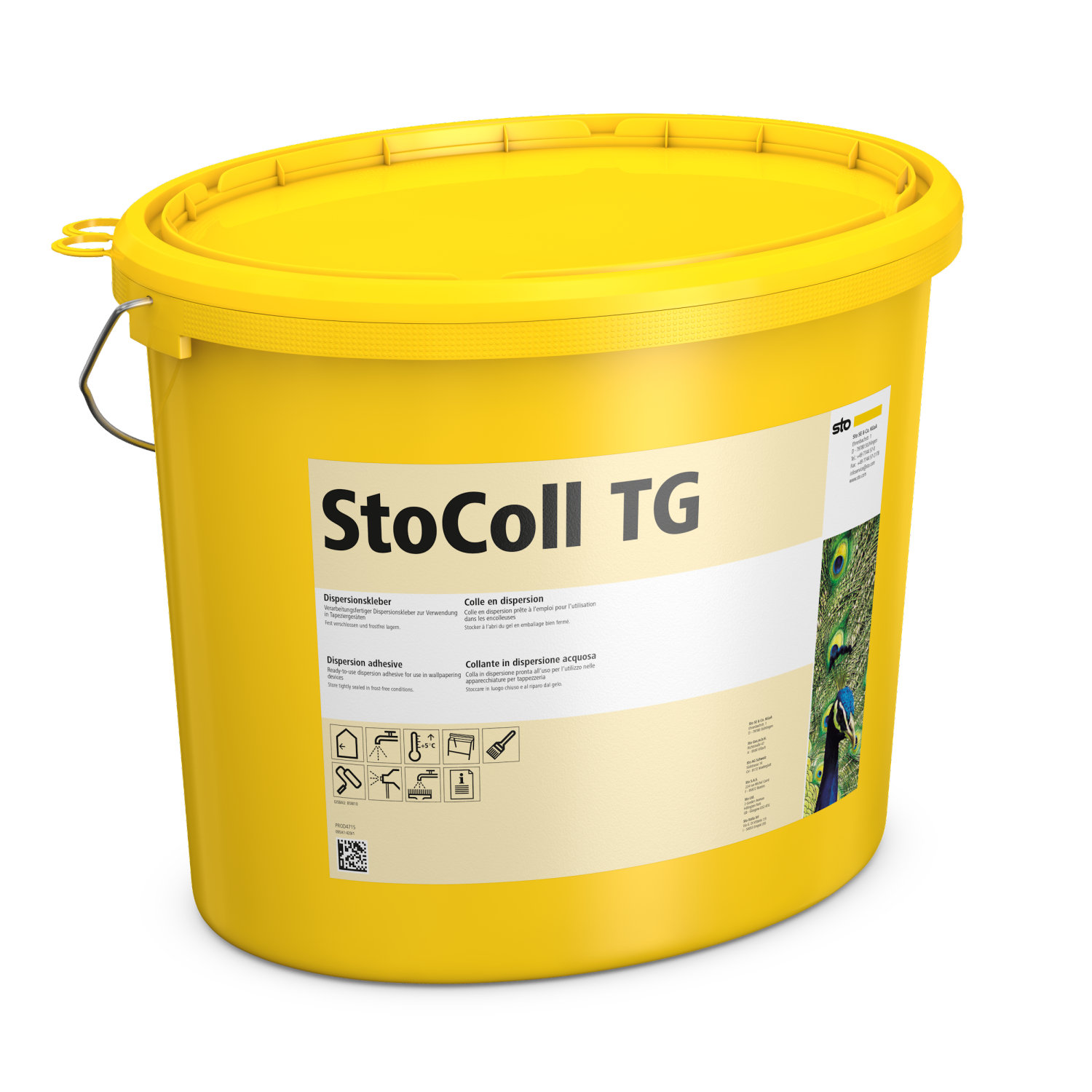 StoColl Trend