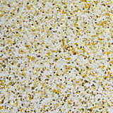 StoChips gold